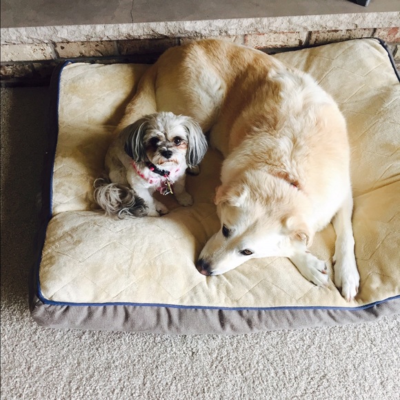 Meet your Posher, Heidi