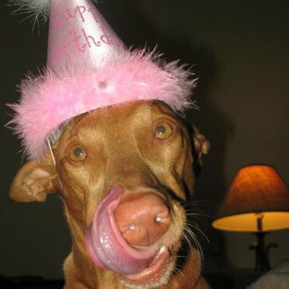 Meet your Posher, Brianna - Picture 1 of 1