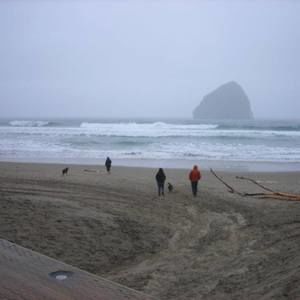 Meet your Posher, Lauranna