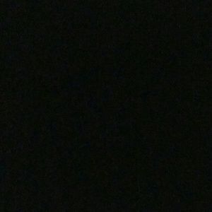 Meet your Posher, Carmen