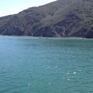 Meet your Posher, Alexia