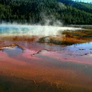 Meet your Posher, Felicity