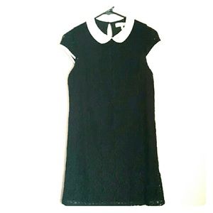 Monteau Black lace dress NWT