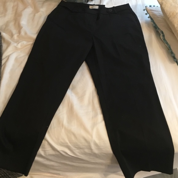 Crop pants LOFT