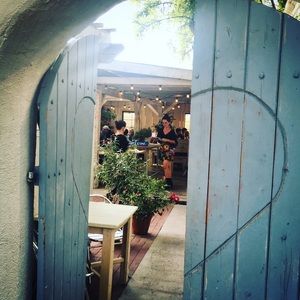 Meet your Posher, Jane