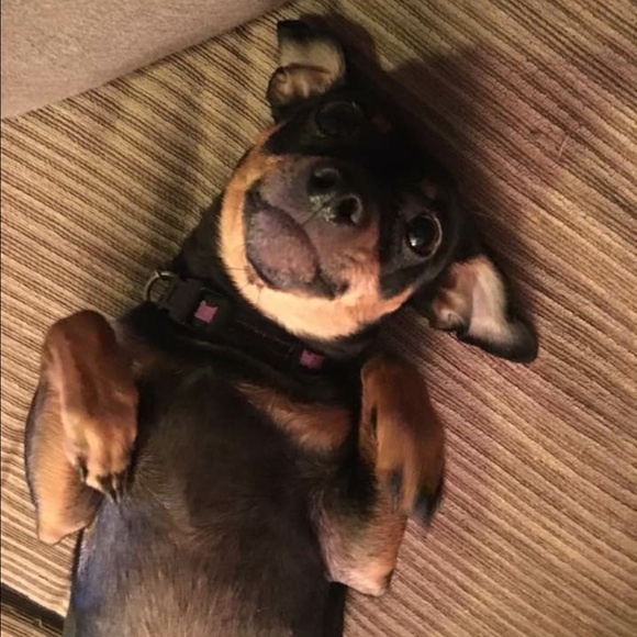 Meet your Posher, Pati - Picture 3 of 9