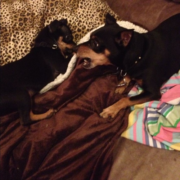 Meet your Posher, Pati - Picture 4 of 9