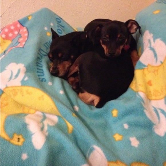 Meet your Posher, Pati - Picture 5 of 9