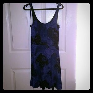 Express Skater Dress