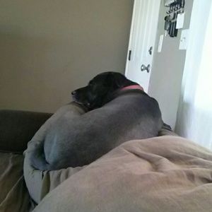 Meet your Posher, Justin