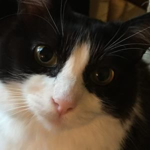 Meet your Posher, Jeannie