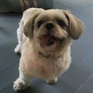 Meet your Posher, Kate