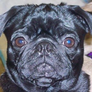 Meet your Posher, Camille