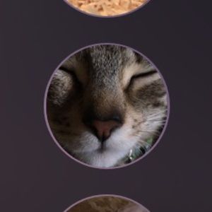 Meet your Posher, Avery