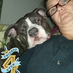 Meet your Posher, Ann