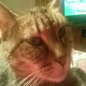 Meet your Posher, Beverly