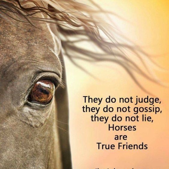 Meet your Posher, A diana - Picture 1 of 1