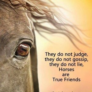 Meet your Posher, A diana