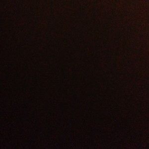 Meet your Posher, Ella