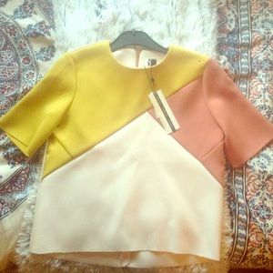 NWT TOPSHOP Color-Blocked Blouse