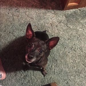 Meet your Posher, Barbara