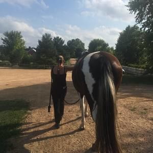 Meet your Posher, Gail