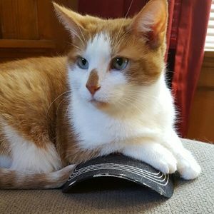 Meet your Posher, Adina