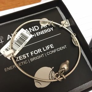 Alex and Ani bracelet