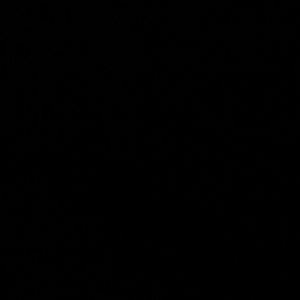 Meet your Posher, Lynn