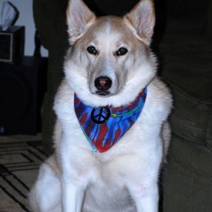 Meet your Posher, Marge