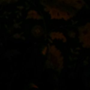 Meet your Posher, Kati