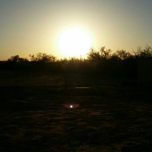 Meet your Posher, Raul