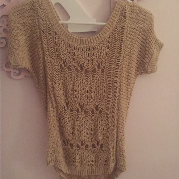 Beige Petite Knit Top
