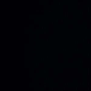 Meet your Posher, Roseann