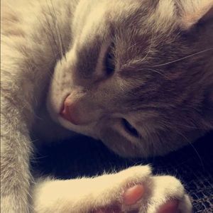 Meet your Posher, Heather