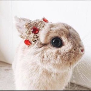 Meet your Posher, Yueqi