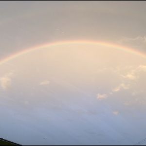 Meet your Posher, Ross