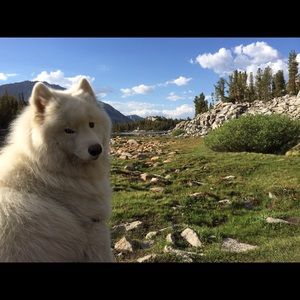 Meet your Posher, Tina