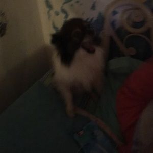 Meet your Posher, Tammy