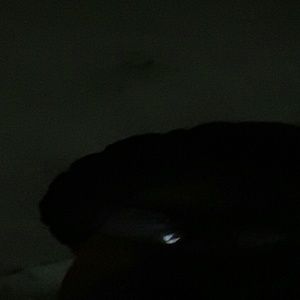 Meet your Posher, Raven