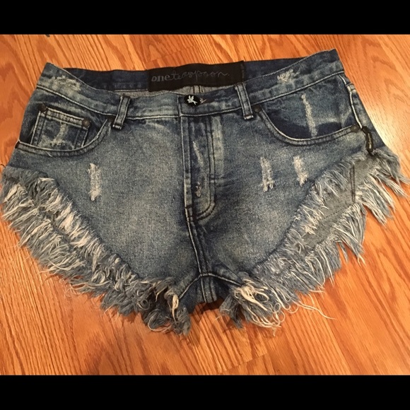 one teaspoon distressed shorts size 27