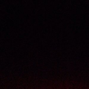 Meet your Posher, Daisy