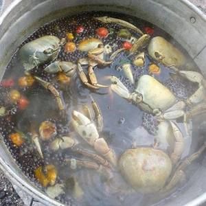 Meet your Posher, Maloney