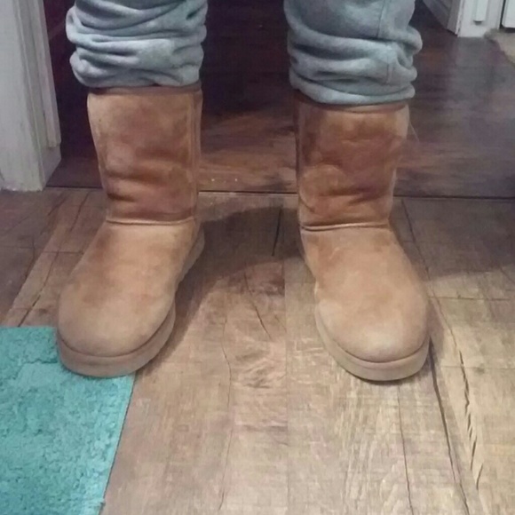CHESTNUT UGGS