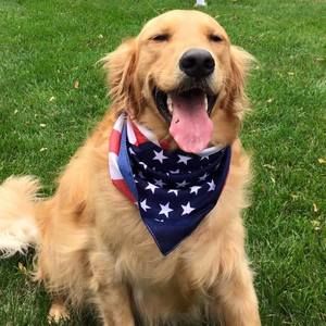 Meet your Posher, Alecia