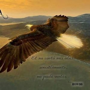 Meet your Posher, Fabiola