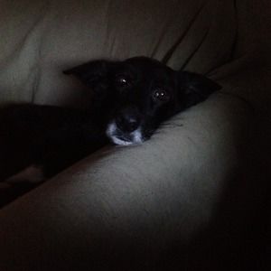 Meet your Posher, Patti