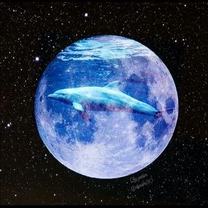 Meet your Posher, Yena