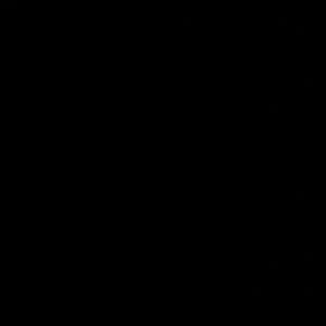 Meet your Posher, Brooklyn