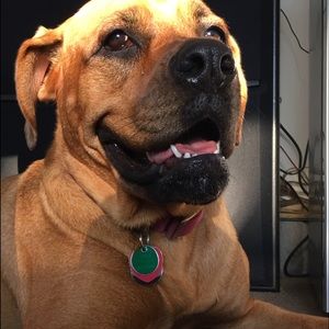 Meet your Posher, Chris